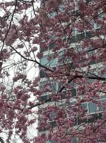 20150407_171952 (Copy)