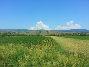 20150611_112457 (Copy)